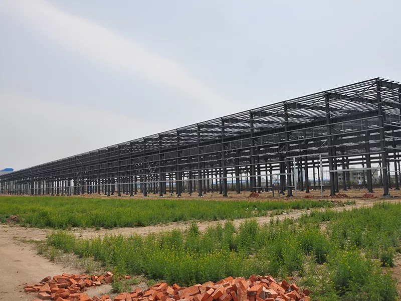Bidh Warehouse togalach stàilinn a 'togail orra